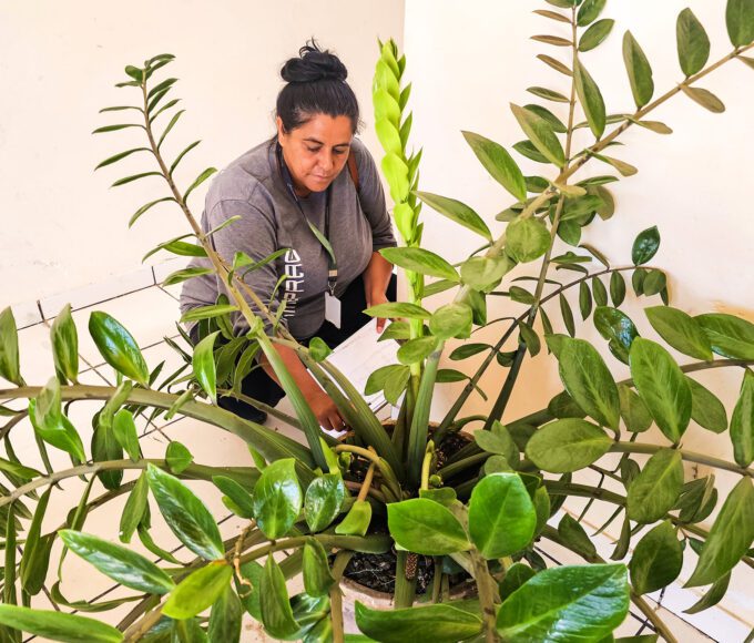 Mais da metade dos focos do Aedes aegypti está em recipientes domésticos em Santa Bárbara 14 Combate a Dengue 07