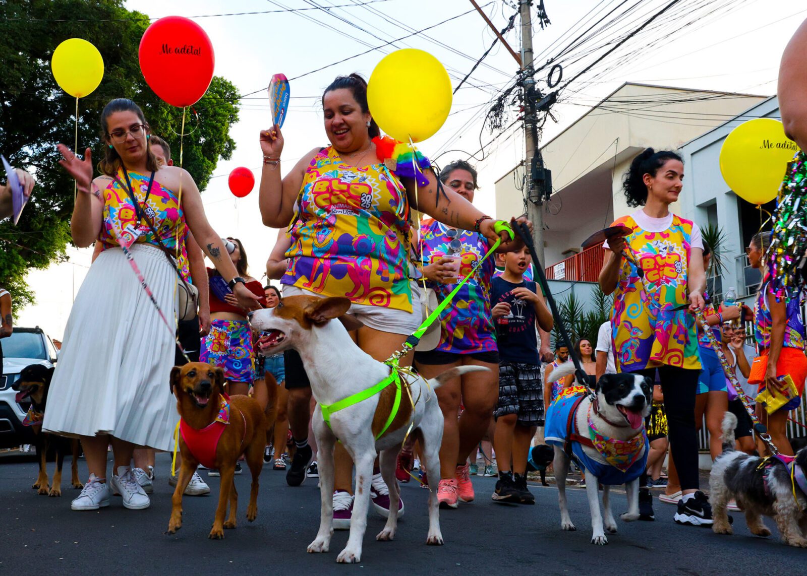 Com pets como protagonistas, BloCão – Animais têm voz leva causa animal às ruas no Carnaval de SBO 2026 5 IMG 3085 scaled