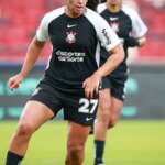 captura de tela 2026 01 31 140651 copy