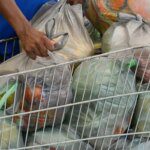 ffraz 150120 dsc31785590