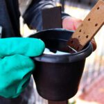 ovitrampas dengue 05 imprensa scaled