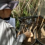 55077337842 6ef702fcae c