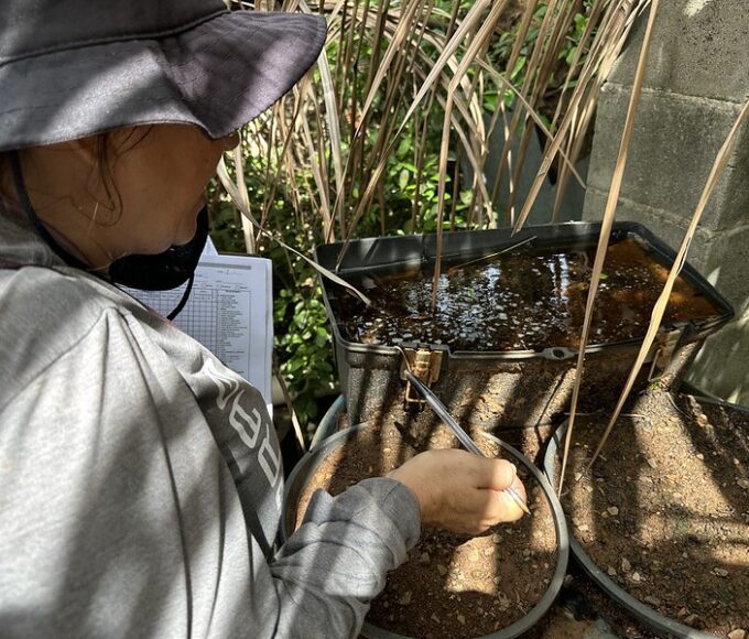 Americana confirma óbito por dengue em 2026 14 55077337842 6ef702fcae c