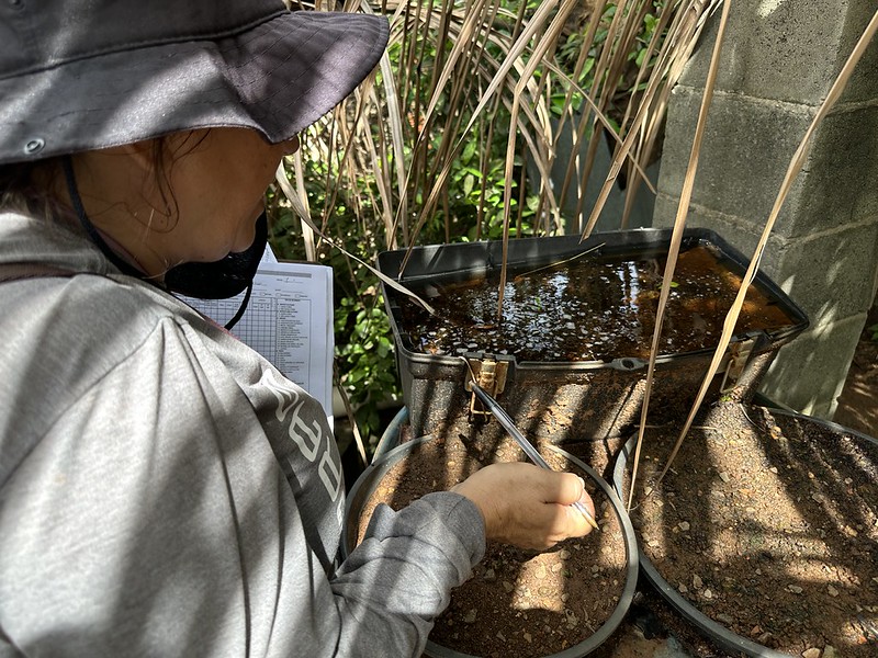 55077337842 6ef702fcae c