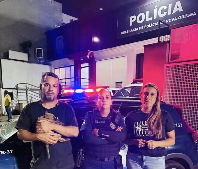 80eeb587 e865 4cfc 9bcf 5a08612412b2 1024x788