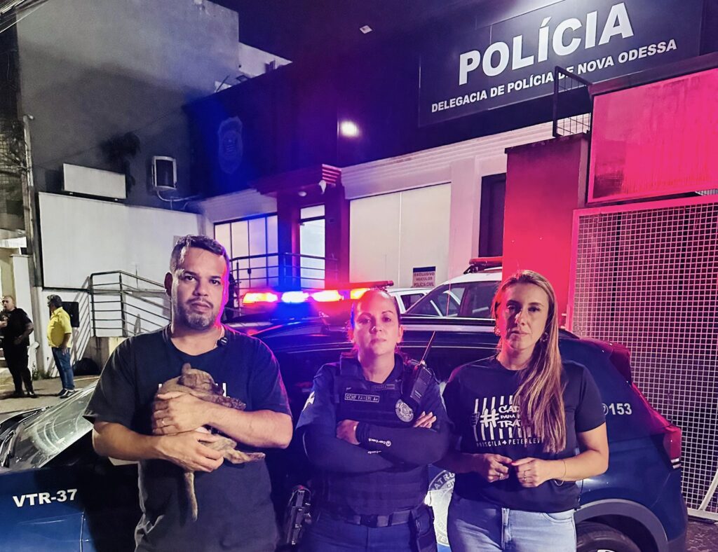 80eeb587 e865 4cfc 9bcf 5a08612412b2