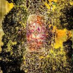 Divulgacao Fissura Eventos 1