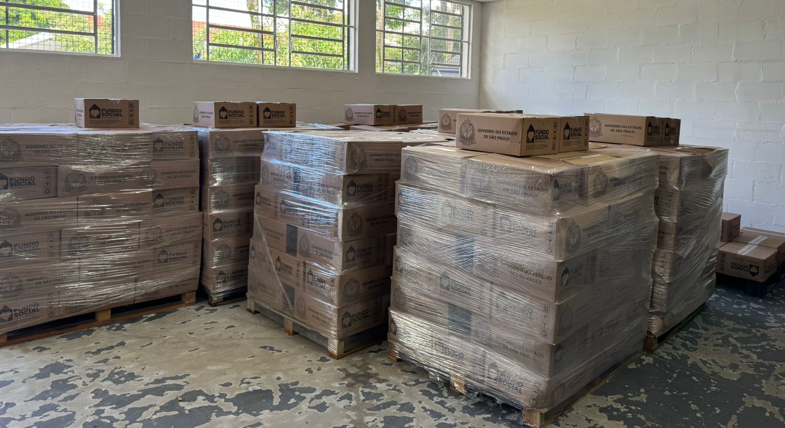 Fundo Social de Solidariedade recebe 600 cestas basicas do Governo do Estado 2