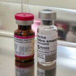 Vacicnacao Dia D 02 1024x732