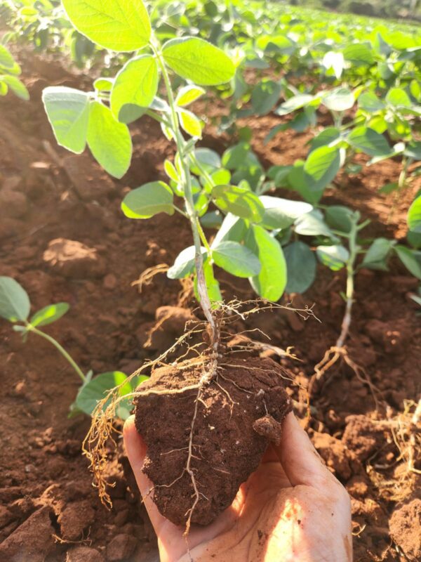 WhatsApp Image 2026 01 15 at 11.18.25