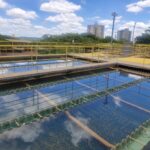 WhatsApp Image 2026 01 26 at 11.57.03 AM