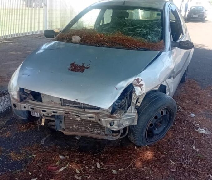 WhatsApp Image 2026 01 27 at 4.39.16 PM 1