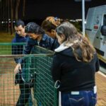 Feira de Adoção leva cães e gatos ao Paulínia Winner Mall Shopping no próximo dia 21 10 image 5