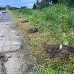 mutirao av bandeirantes 1