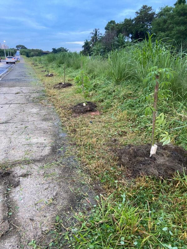 mutirao av bandeirantes 1