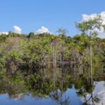 Governo levantou R$ 179 bi desde 2023 para transição ecológica 10 06072024 pzzb8421