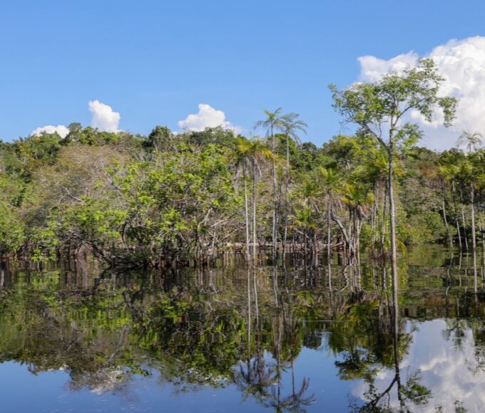 Governo levantou R$ 179 bi desde 2023 para transição ecológica 14 06072024 pzzb8421