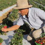 1089300 vcapto abr 2408172783 1