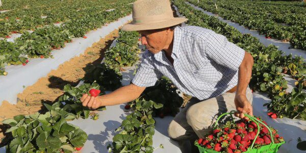 1089300 vcapto abr 2408172783 1