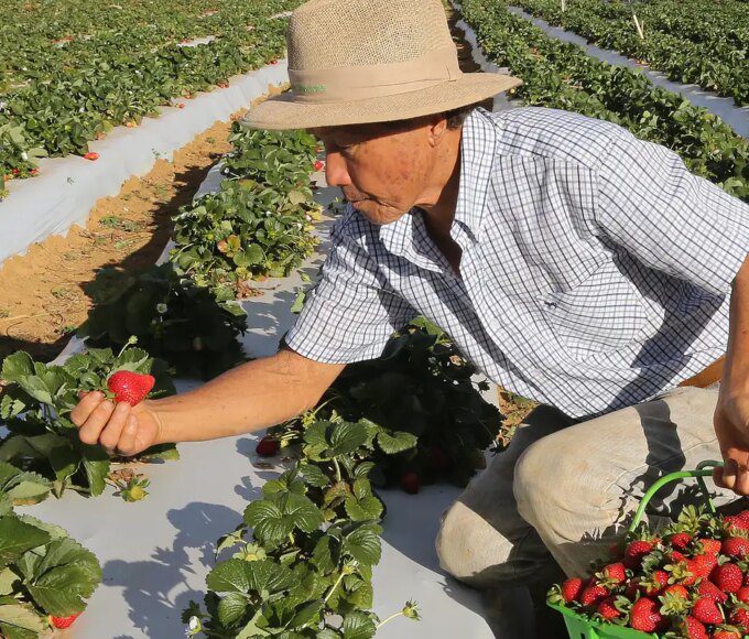 1089300 vcapto abr 2408172783 1