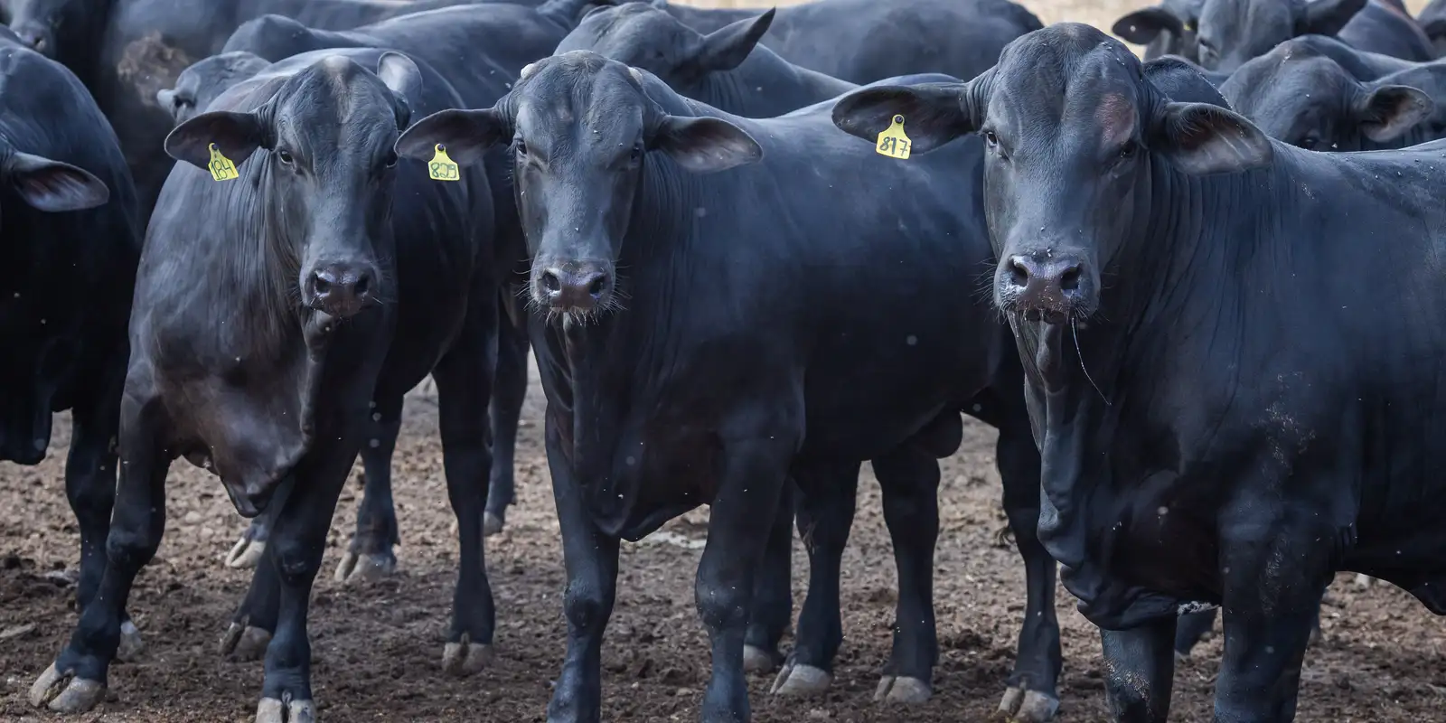 50376409862 a1c74f6e38 o 0