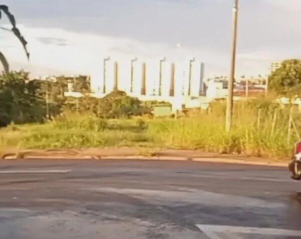 Image5 e1774537004432