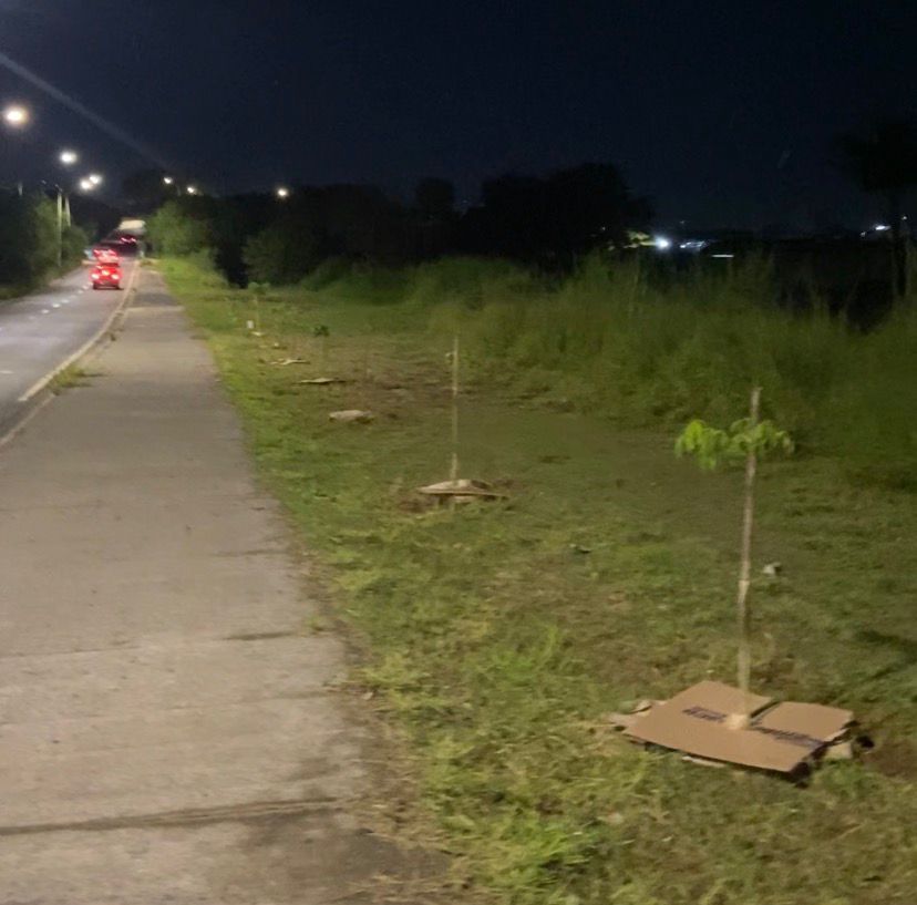 Vandalismo destrói mudas plantadas por voluntários em Americana, mas grupo se mobiliza e recupera área verde 5 WhatsApp Image 2026 03 15 at 21.09.03