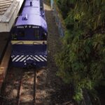 WhatsApp Image 2026 03 23 at 09.01.24 2