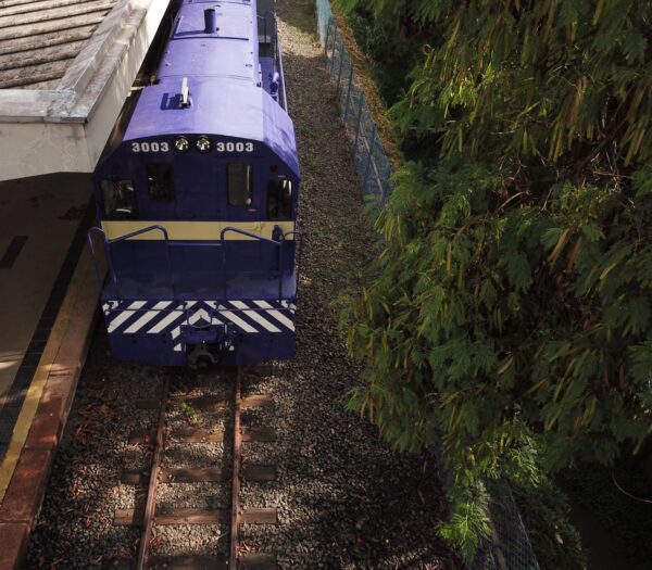 WhatsApp Image 2026 03 23 at 09.01.24 2