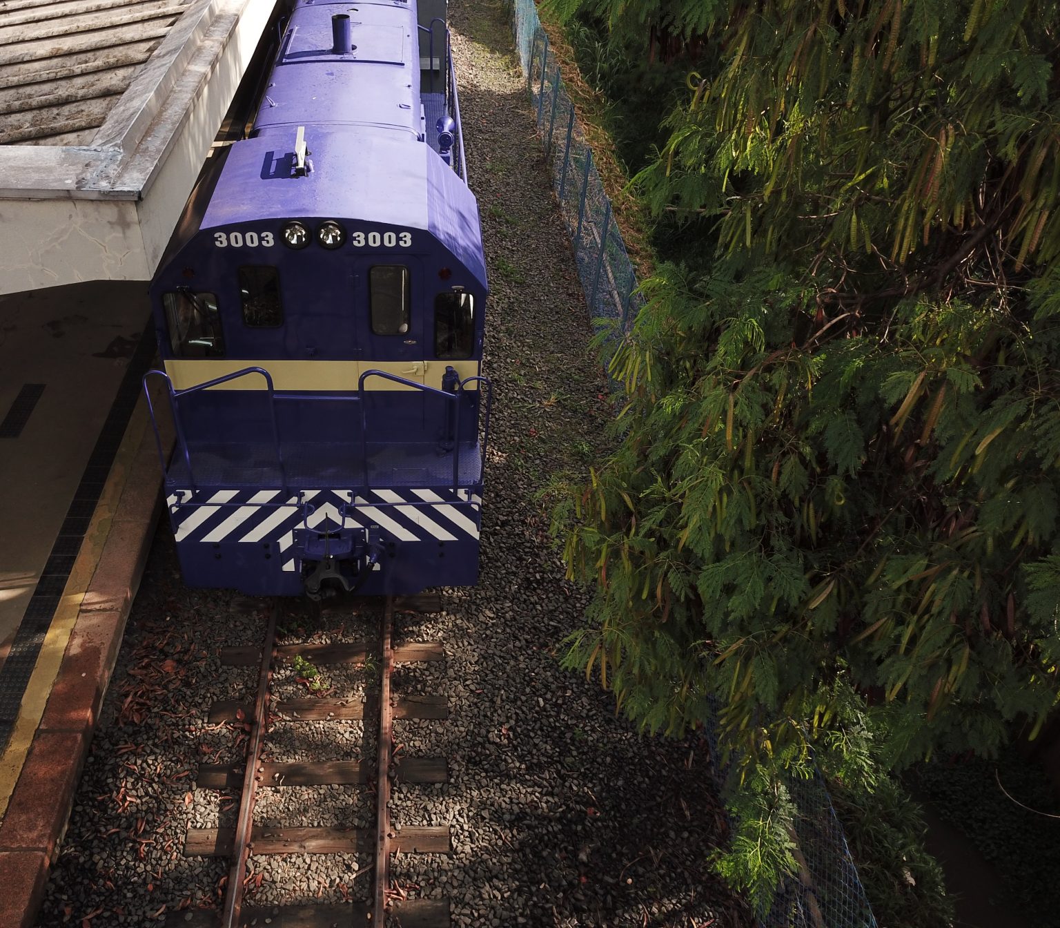 Beer Train: passeio de trem com degustação de cervejas artesanais retorna ao interior de São Paulo 5 WhatsApp Image 2026 03 23 at 09.01.24 2