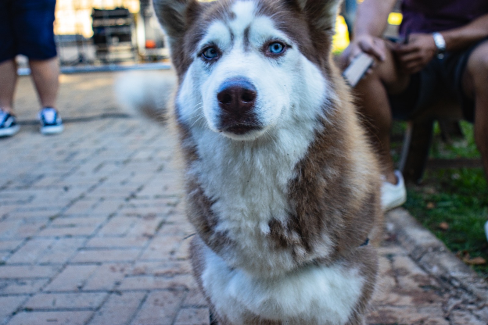 WhatsApp Image 2026 03 30 at 16.41.04