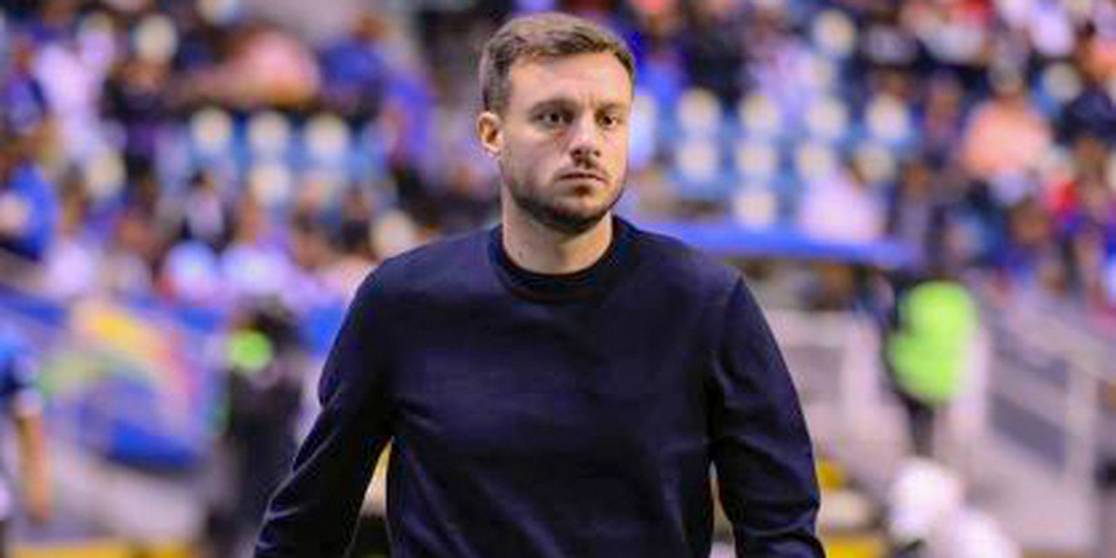 botafogo demite tecnico martin anselmi