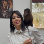 Delegada Regina Campanelli resgata macaco-prego que aparentava ser domesticado; animal seria comercializado ilegalmente em Santa Isabel-SP 12 f1 e1772653751271