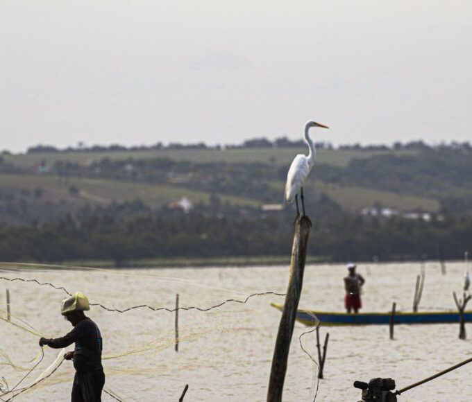 Sexto lote do seguro-defeso será disponibilizado na terça-feira 14 ja03196