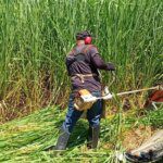 rocadeira e1773668478602