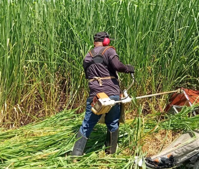 rocadeira e1773668478602