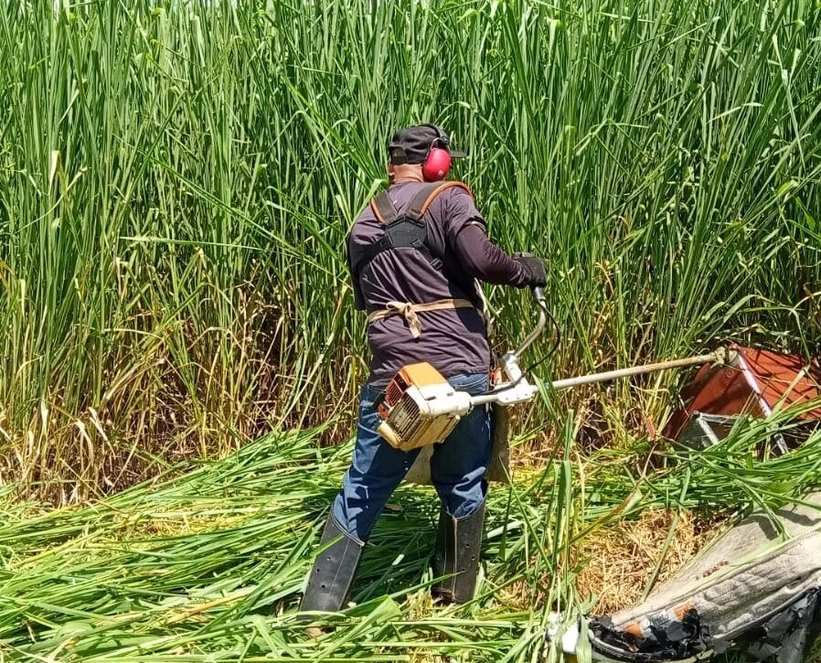 rocadeira e1773668478602