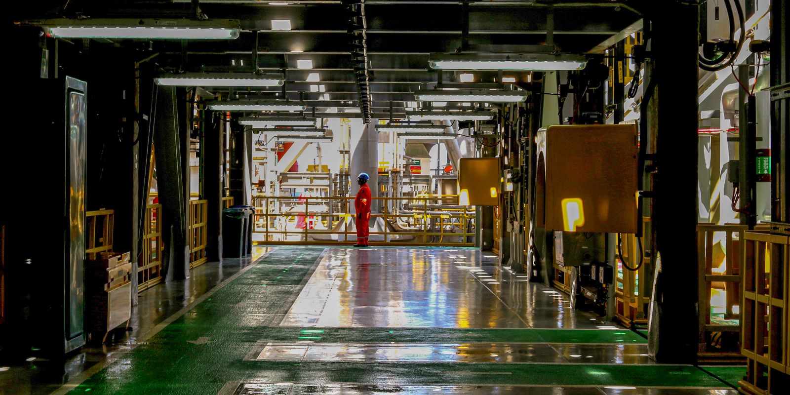 53219821846 1dd5c22026 o