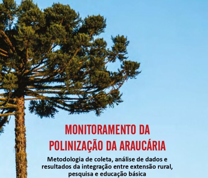 Capa do Documento Tecnico 138