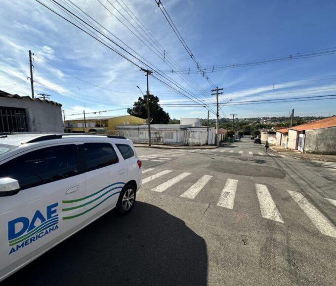 IMG 3873.JPG 1024x768