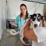 Prefeito Chico anuncia implantacao de servico movel para caes e gatos em Americana 4