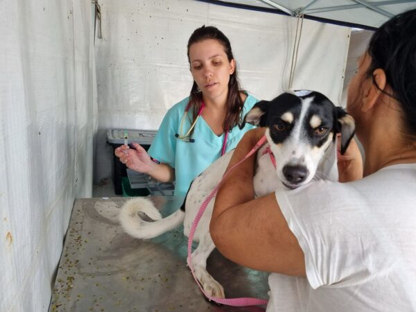 Prefeito Chico anuncia implantacao de servico movel para caes e gatos em Americana 4