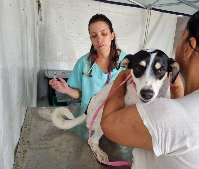 Prefeito Chico anuncia implantacao de servico movel para caes e gatos em Americana 4