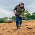 WhatsApp Image 2026 04 17 at 16.20.59