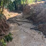 WhatsApp Image 2026 04 24 at 15.14.52