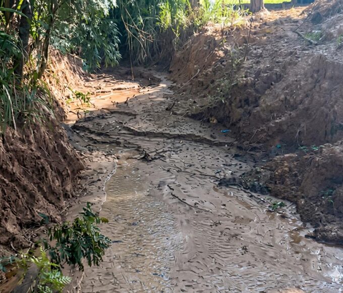 WhatsApp Image 2026 04 24 at 15.14.52