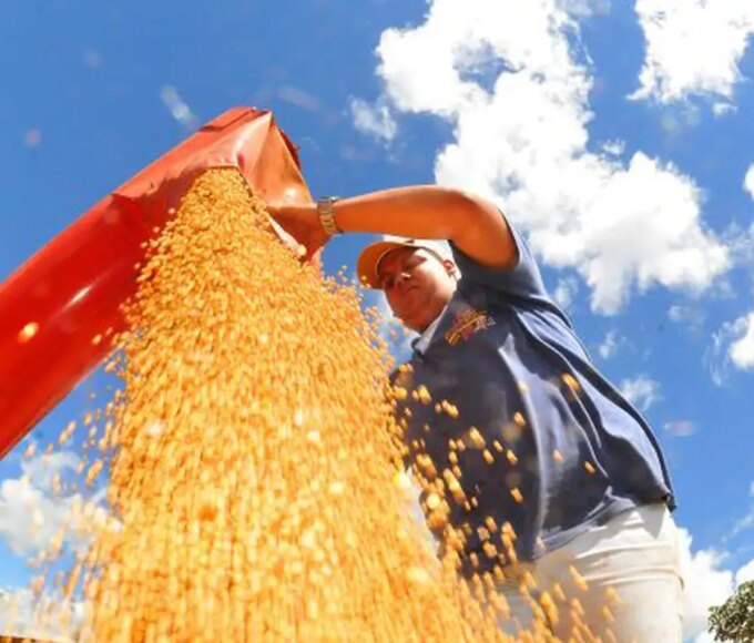 Atividade econômica brasileira cresce 0,6% em fevereiro 14 colheita de soja foto alvaro rezende 3 730x480govcg