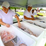 feirao de peixes 02 imprensa