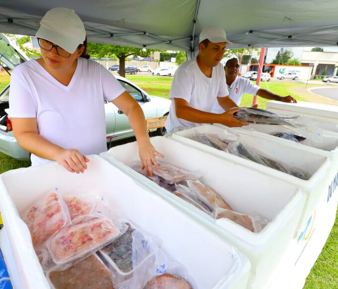 feirao de peixes 02 imprensa