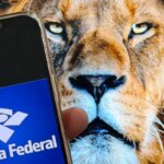 whatsapp image 2026 03 16 at 16.06.34